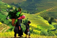 TOUR DU LỊCH SAPA