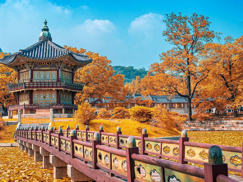 Giới Thiệu Về Mùa Thu Hàn Quốc